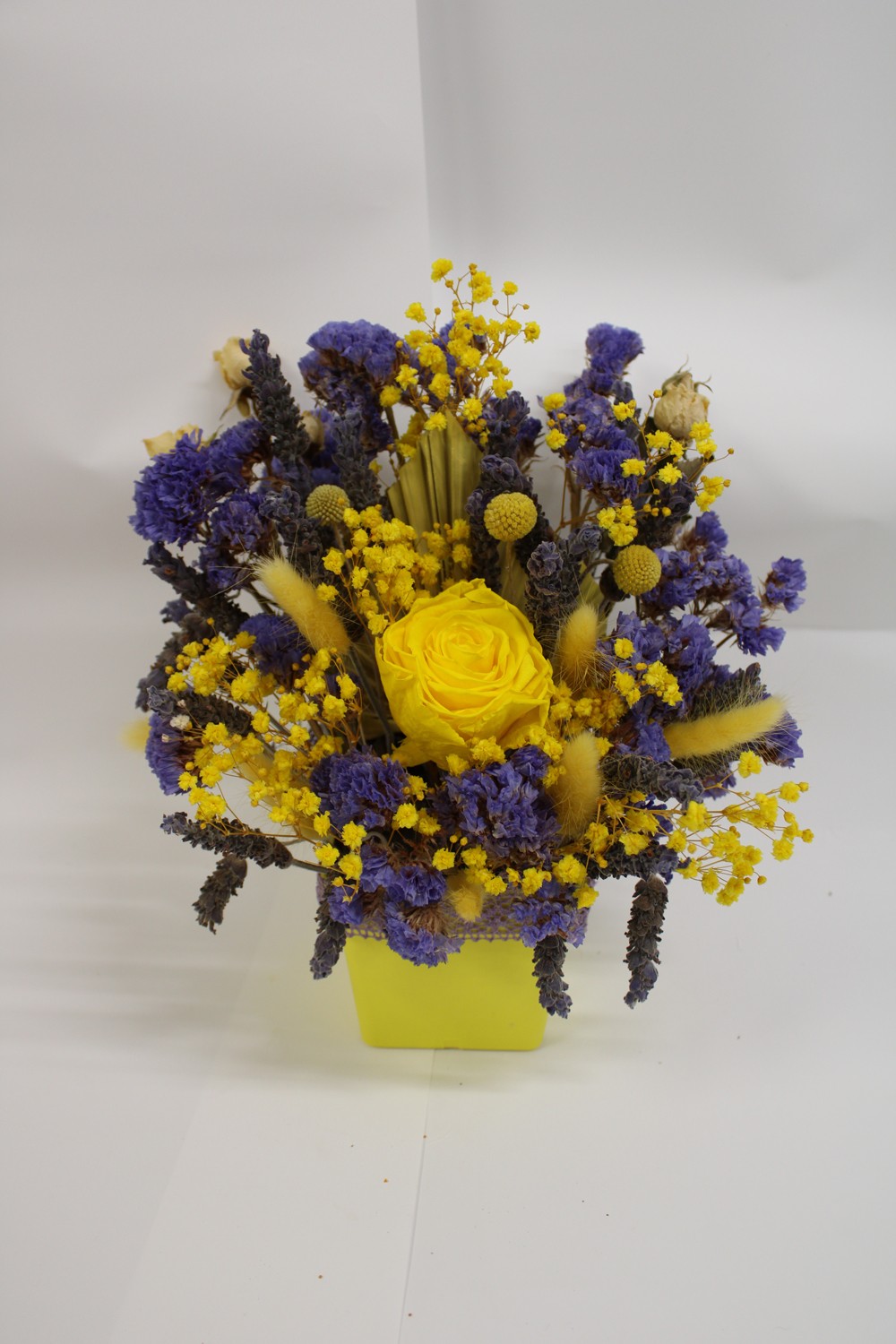 Yellow/purple Arrangement