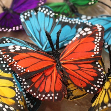 Hand Painted Feather Butterflies