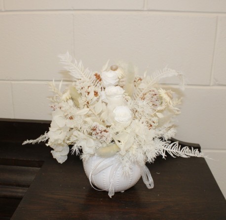 Dried White Kina Pot