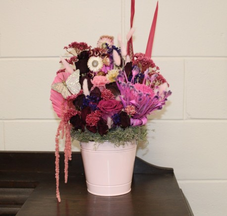 Butterflies and blooms