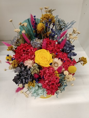 Rainbow Burst