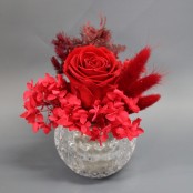 Preserved Rose Bomb